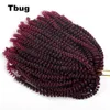8 pulgadas 60 hebras Extensión del cabello Nubian Twist Crochet Trenzas Ombre Trenzado sintético Bomba Twist para esponjoso