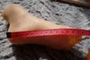 15cm 진짜 여성 어린이 섹시한 인형 발 마네킹 혈관 실리콘 포그 실크 스타킹 보석류 모델 소프트 실리카 젤 1pc 188k