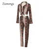 Tweedelige jurk Leopard Snake Print Set Women Fall Clothes Sexy Club Outfits Lange mouw Crop Top Pant 2 Matching