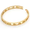 Mode zilveren roestvrijstalen butom Romeinse armband sieraden roze goudbanden armbanden voor vrouwen houden van armband 1iz2