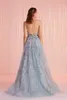 2020 Moda Vestidos Halter Neck mangas Lace apliques Prom Vestidos Custom Made Backless varredura Trem Ocasiões especiais Vestido