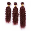 Wijn Rood Menselijk Haar Bundels Natte en Golvende Virgin Hair Extensions Pure 99J Bourgondië Rood Water Wave Braziliaans Menselijk Haar Weave Weefs 10-30 "