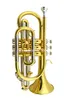 Jyco-E100 BB Tune Trompeta Cornet Brass Gold Metropleatedプロの楽器マウスピースを備えた専門の楽器送料無料