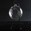 DIY mikro krajobraz szklany szkło wiszące piłkę z żelaznym stojakiem w domu