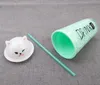 Le dernier bouchon d'oreille de chat à la mode de tasse de paille de refroidissement rapide de glace concassée en plastique à double couche de 15.2OZ Drinkware, supporte la personnalisation