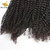 Menselijk Haar Volledige Hoofd 4 Bundels Natuurlijke Wave Waterwave Kinky Rechte Kinkycurl Double Inslag Maagd Hairextensions Geen gespleten eindigt