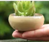 IJsgekraakte keramische bloempot met gat Home Desktop Decoratie Mini Flowerpot voor Succulents Vlezige planten