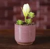 Ice Cracked Mini Ceramic Flower Pot Colorful Cute Flowerpot For Desktop Decoration Meaty Potted Plants Planters SN2486