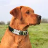 Dog Collar Leashes Collar Nylon Personlig Anpassad ID Tag Collar Graverad Namnskylt Pet Cat Antilost För Små Medium Stor