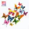 12pcs Multicolor Double Layer Wings 3D Butterfly Wall Sticker Magnet PVC Butterflies Party Kids Bedroom Fridge Decor Magnetic