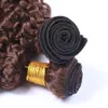 Dark Brown Peruvian Curly Human Hair Weave Bundles 3Pcs 300Gram Pure 4 Color Kinky Curly Human Hair Extensions Chocolate Brown Hair Wefts