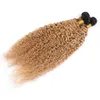 # 1B 27 Extensions de cheveux de racine foncée Crépus Bouclés Ombre Faisceaux de Cheveux Humains Miel Blonde Ombre Brésilienne Bouclée Vierge Cheveux Tisse 3 Faisceaux