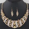 CRYSTAL BRIDAL SMYCKE SETS Wedding Party Costume Accessory Indian Necklace Earrings Set For Bride Gorgeousjewellery Set Women268o