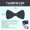 Amerikaanse vlag patriottische Four of July vakantie stropdas of vlinderdas USA vlag Bowtie Set of stropdas Set264K