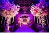 庭の家の結婚式の装飾のための2mの長い人工シルクの花のハナジャーウィステリアガーランド