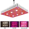 フルスペクトルLED成長光1000W 2000W 3000W穂軸LED植物ライト育成ランプの屋内植物の温室栽培ショップ