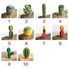 1 st simuleringsplantor Creative DIY Landscape Fake Cactus Garden Vivid Succulents Wedding Home Office Decors Artificial Plants18121956