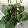 1 conjunto de orquídeas de alta qualidade sentimento de mão flor mesa arranjo sem vaso flor artificial decoração de escritório em casa8614765