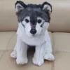 Dorimytrader quality soft simulation animal wolf plush doll mini stuffed husky dog toy pet animals kids gift 27x16x24cm DY501202616982