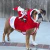 小さな犬のクリスマスのドレス