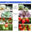 25st LED-växt växa ljus T8 V-formad integrerad växande ljusrör fullt spektrum för medicinska växter och blomma fruktrosa färg