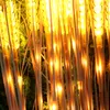 Utomhus simulering lysande vete reed lights landskap belysning semester park atmosfär foto dekoration ledde vete ljus