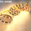 Single Row 2835 SMD 1M 60LED remsor Flexibel LED -strip replampor Vattentät RGB Light Strip5V DC Lighting Strips Usalight