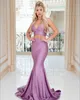 Two Piece Lavender Cheap Sexy Mermaid Dresses Long V Neck Formal Prom Party Gowns Special Ocn Dress Vestidos De Fiest 2024 0430