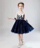 Pretty Blue / Shory Rękawy Aplikacja Dziewczyna Korownice Suknie Kwiat Girl Dresses Princess Party Dresses Child Spódnica Custom Made 2-14 H317500