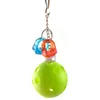 Parrot Bird Chewing Toy Hanging Bridge Chain Pet Bird Parrot Chew Swing Toys Bite Grinding Teeth Supplies yq01093