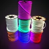 LED Strip Neon Flexible Rope Light Waterproof IP68 Mini LED Tape 220V 110V Flexible Ribbon For Outdoor Lighting