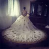 Appliques de dentelle d'or paillettes luxueuses robes de mariée robe de bal 2020 fermeture éclair à manches longues dos cour train robes de mariée, plus la taille AL5086
