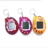 Elektronisk husdjursmaskin Virtual Pet Pussel Miniatyr Development Game Machine Quick Sell Hot Sell Toys