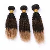 Três Tone Cabelo peruana Ombre Humano 3 Ofertas Bundle Kinky Curly # 1B 4 27 Ombre Virgin Cabelo Raízes Weave Pacotes mel escuro Loiro