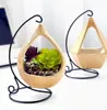 Creative Nordic Simulation combinaison succulente Plant Pustted Living Room Fleurs artificielles et plantes vertes Décoration Bonsaï Pendant Hang