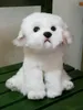 Qualité belle doux Animal maltais chien en peluche poupée Mini câlins chien Pet décoration cadeau 28x20x26 cm DY50057