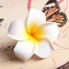 300pcs MOQ Sunny Bright Artificial Plumeria Flower Foam Hair Clips Barrettes Headwear Frangipani Hair Accessories for Women and Kids