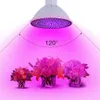 Свет роста растений SMD 2835 светодиодный завод света теплица лампа AC85-265V E27 / E26 Light для фруктов и овощей