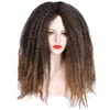 Nya StyleBlack Women039S hårvirka Marley Braid Afro Kinky Marley Hair Styles Black Long Kinky Curly Wigs2822501