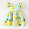 Teste padrão do verão Girl Dress Fruit Lemon Baby Girl vestido Crianças vestidos crianças Fly vestidos de manga ins meninas vestido floral praia KKA6978