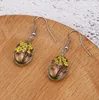 Utsökt örhänge Kvinnor 5 färger Växt torrblomma Dangle Glass Ball Earring Smycken Charm Gift Gratis frakt