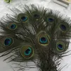 Natural Peacock Feather 2530 cm Home Wedding Party Decoration Supplies Elegant Peacock Tail Feather Stage Performance Prop Feather3691093