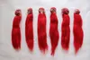 10 piezas de lanza de fibra de nylon roja Tassel Kung Fu293h