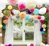 50 sztuk MOQ Kolorowe Wiszące Pom Poms Zestaw Papierowy Kształcie Kształcie Kwiat na ślub, Urodziny, Baby Shower, Nursery Decor, Tissue Flower