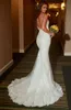 Vestidos de novia de sirena con espalda abierta, escote espagueti, vestido de novia de encaje, vestidos de novia, vestido Formal de novia Sexy 278B
