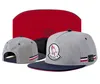 Cayler Sons Snapback Caps CSBL Rose Flower baseball Hoeden Verstelbare Hoed Cayler Sons Snapbacks Casquette Gorras hoed Trust Wave mannen vrouwen