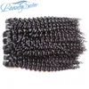 Beautysister Raw Virgin obearbetade mänskliga hårbuntar Brasilianska kinky Curly Remy Human Hair Weaves 3pieces 300g Lot Natural Color9944767