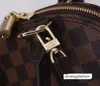 Hobo Selling High-quality Fashionable Women's Bag, Luxurious Bag Type Is Designed Personal Travel, Leading the Fashion1