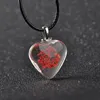 New Heart Shaped Glass Dried Flower Necklace Pendant DAN624 mix order Pendant Necklaces