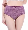 Calcinha Infantil Sexy Höschen Frauen Mode Gemütliche Dessous Verführerische Hübsche Slips Hochwertige Baumwolle Fünf Farbe Unterwäsche